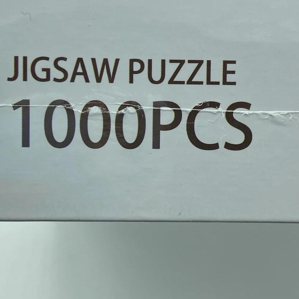 1000 Piece‎ MammyGoL Jigsaw Puzzle Venice Canal Santa Maria Church - NEW SEALED